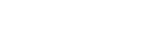 VHS logo